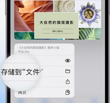 盂县apple维修中心分享iPhone文件应用中存储和找到下载文件