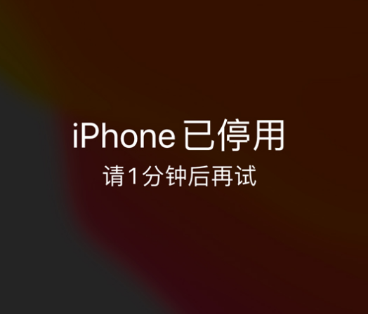 盂县苹果手机维修分享:iPhone 显示“不可用”或“已停用”怎么办？还能保留数据吗？ 