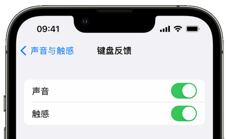 盂县苹果手机维修分享iPhone 14触感键盘使用方法 