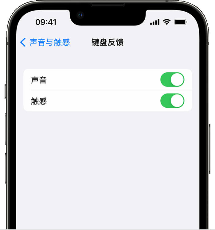 盂县苹果14维修店分享如何在 iPhone 14 机型中使用触感键盘 