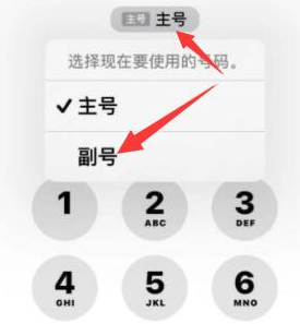 盂县苹果14维修店分享iPhone 14 Pro Max使用副卡打电话的方法 