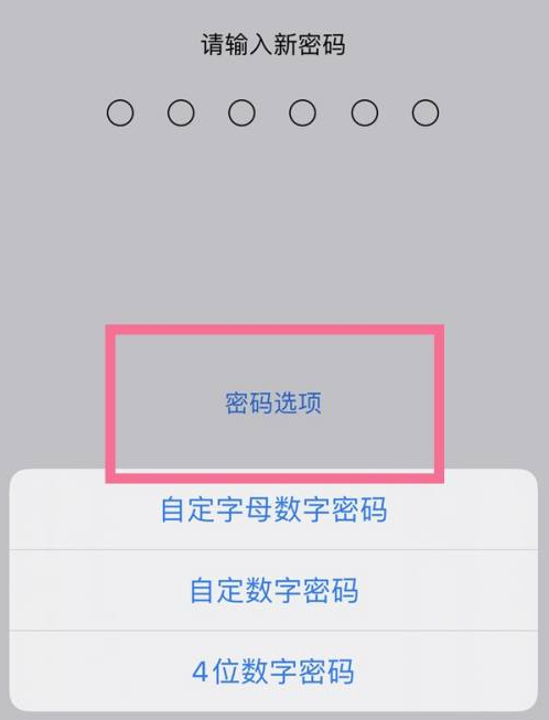 盂县苹果14维修分享iPhone 14plus设置密码的方法 