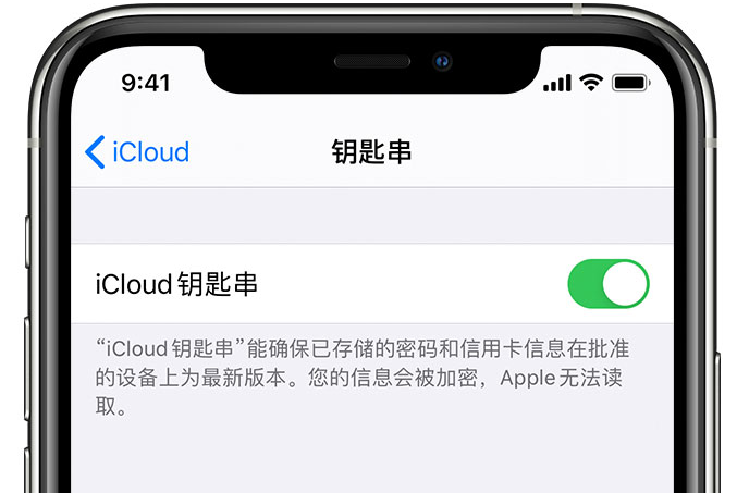 盂县苹果手机维修分享在 iPhone 上开启 iCloud 钥匙串之后会储存哪些信息 