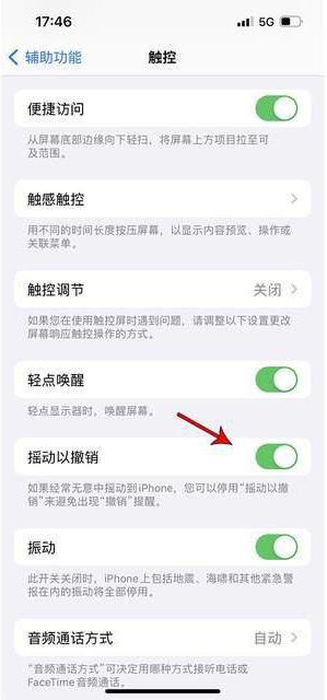 盂县苹果手机维修分享iPhone手机如何设置摇一摇删除文字 