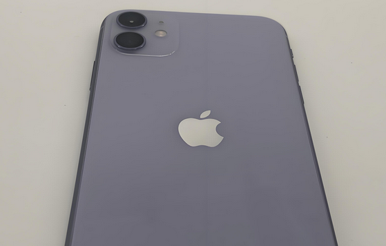 盂县苹果11系统维修分享iPhone11手机系统崩溃无法开机如何解决